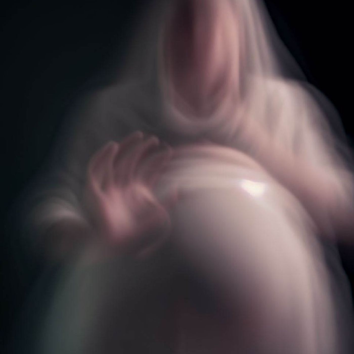 Episodio 4 - Identificar al Fantasma Transgeneracional 👻 episode artwork
