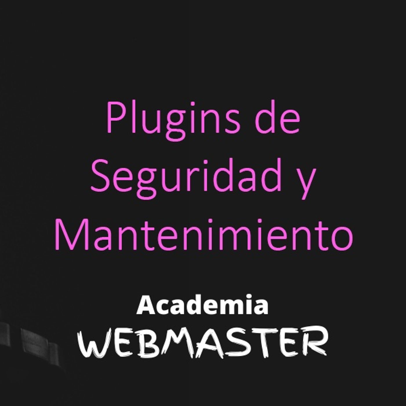 Academia Webmaster