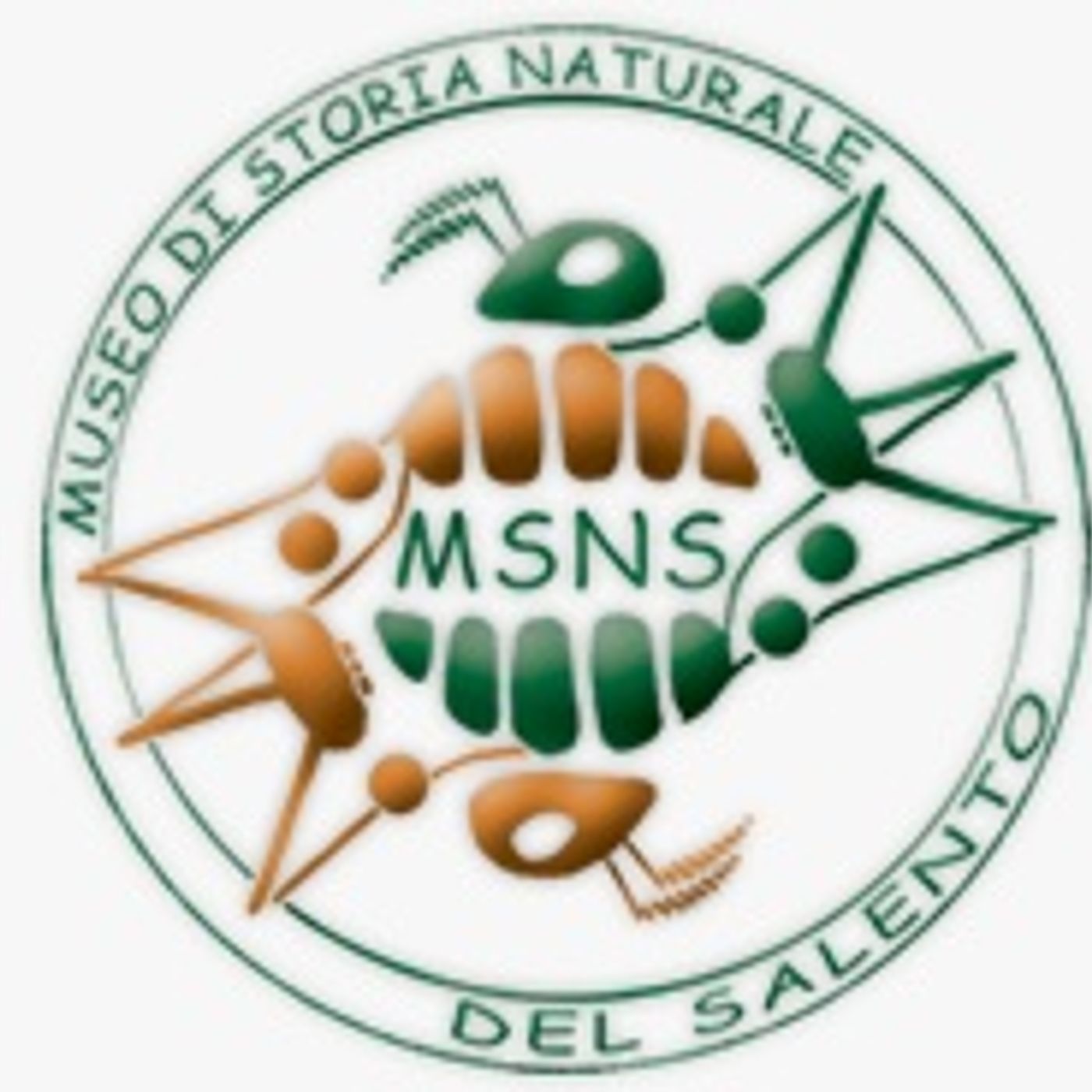 Notti al Museo