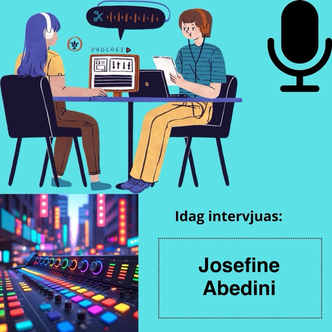 Den där intervjun