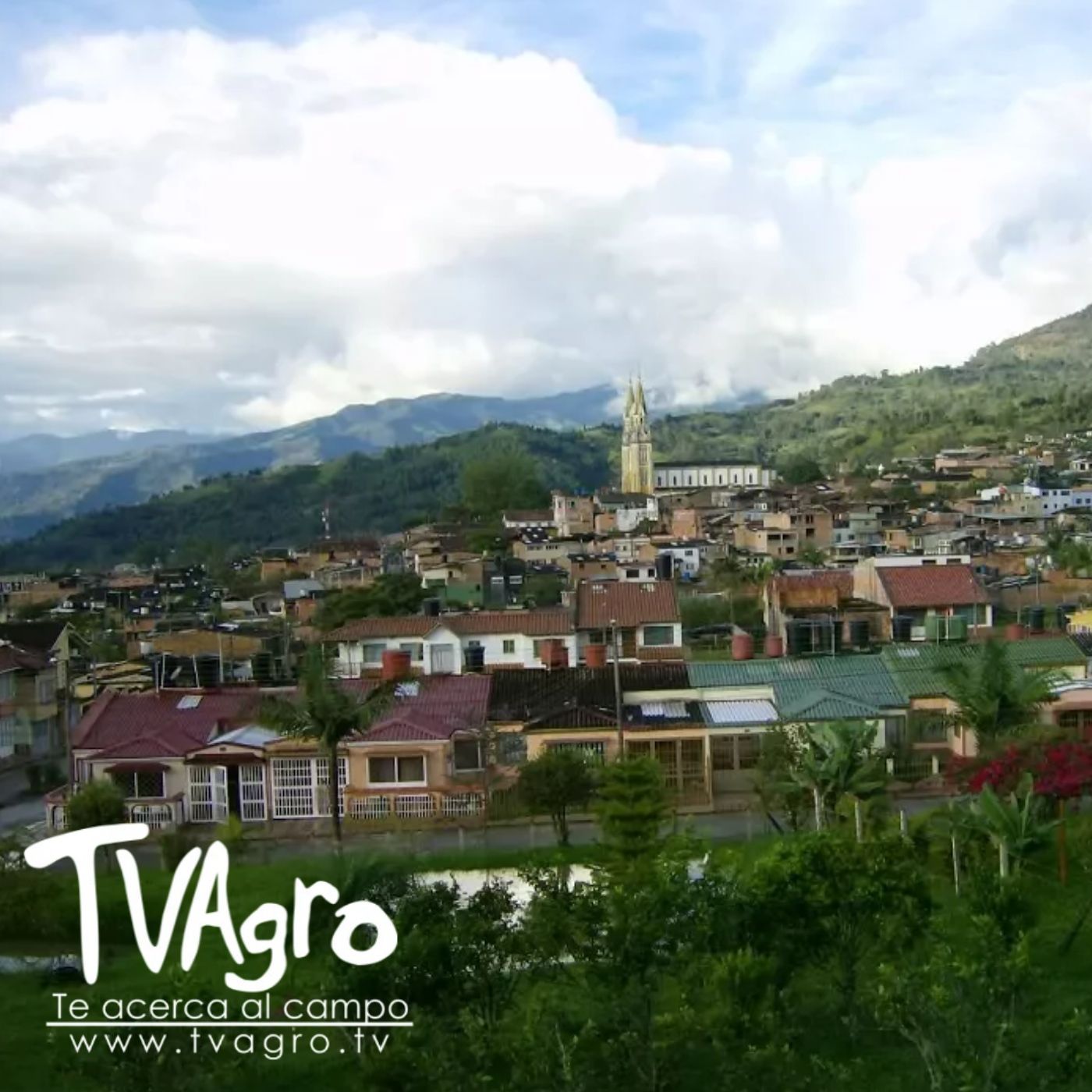TV AGRO