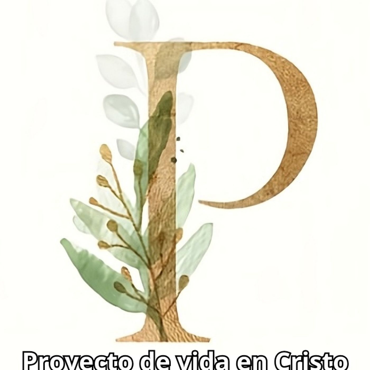 Proyecto de vida en Cristo