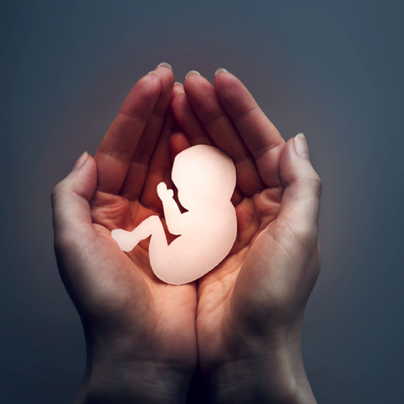 Importancia ética utilitarista -Aborto podcast artwork