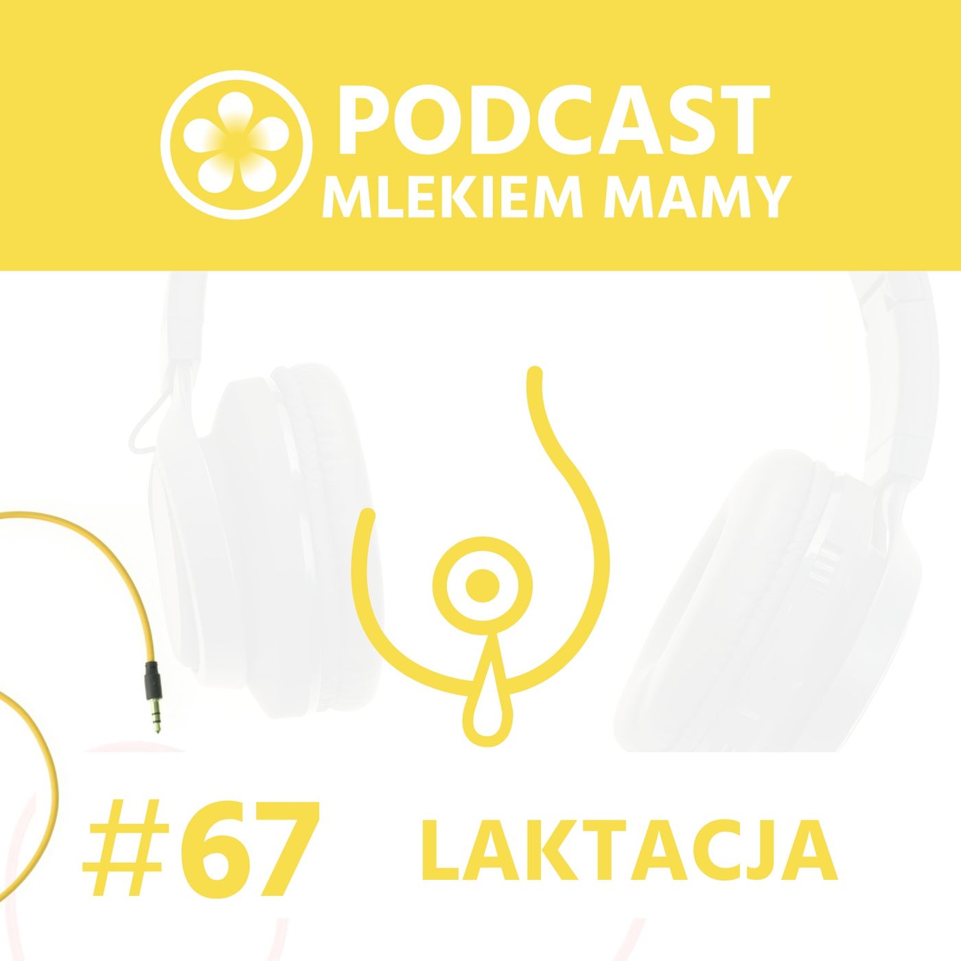 Podcast Mlekiem Mamy #67 - Niepowodzenie w laktacji - rozmowa z Alicją Podgrodzką episode artwork