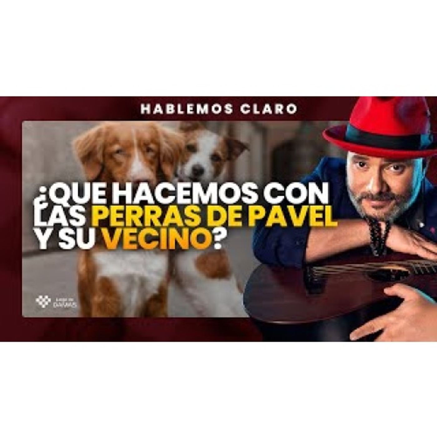¿Tiene Razón Pavel Nuñez y sus perros o su vecino intenso_ _ Hablemos Claro episode artwork