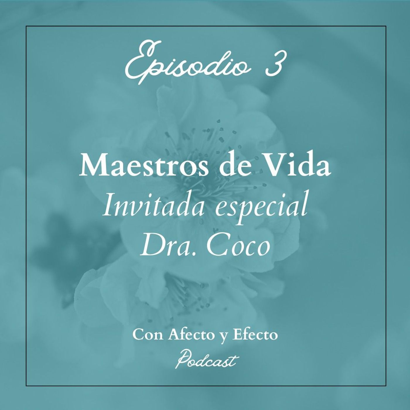 Con Afecto y Efecto