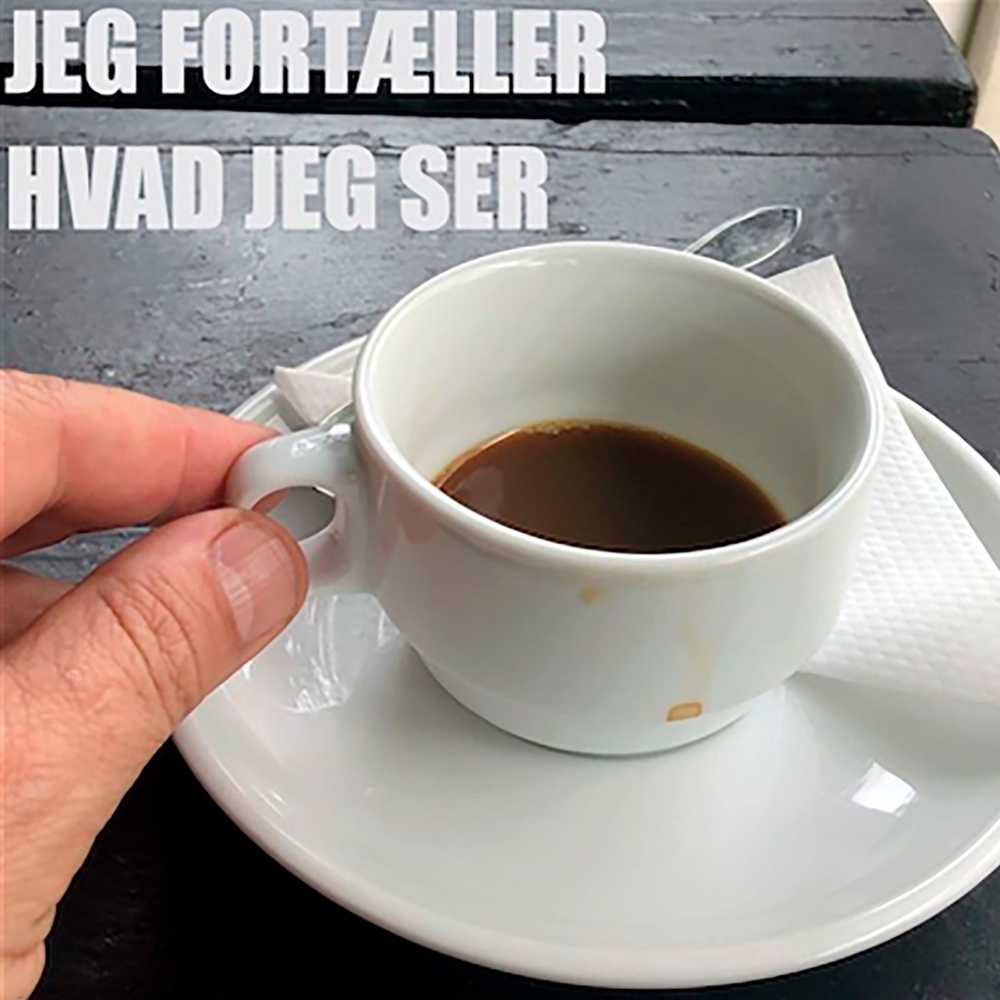 Jeg fortæller hvad jeg ser. af Kaspar Bang