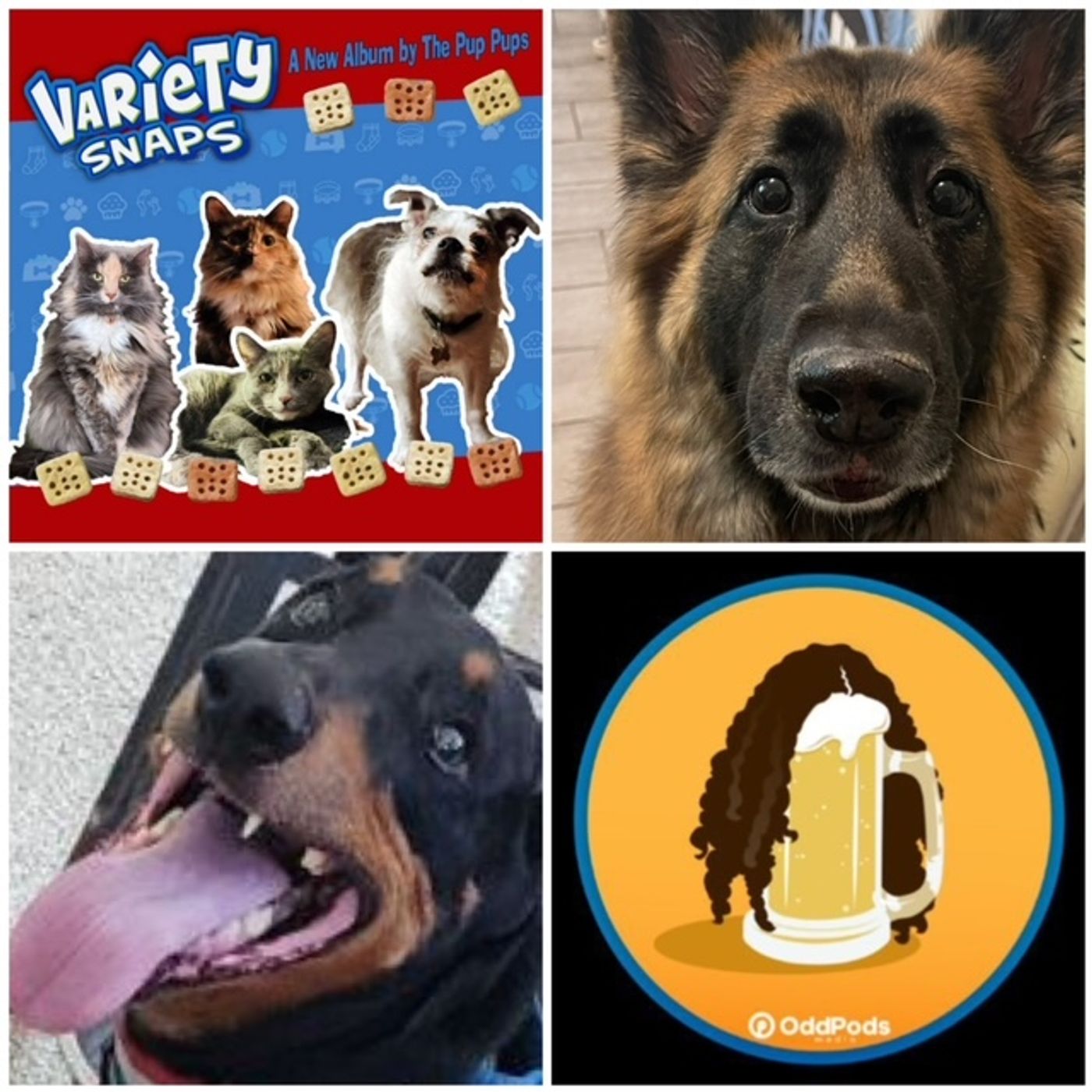 Bonus Episode: Variety Snaps by the Pup Pups