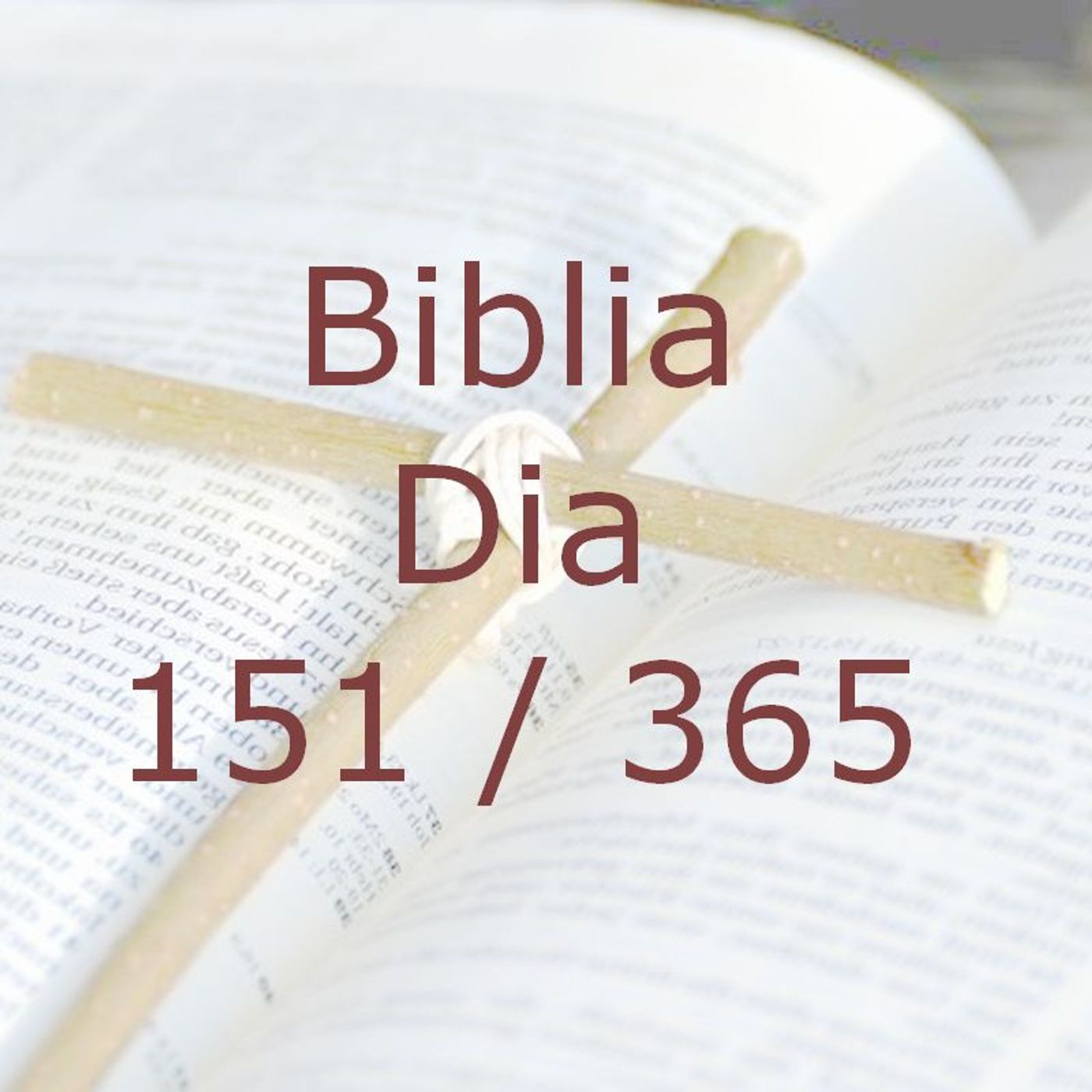 La Biblia en 365 dias