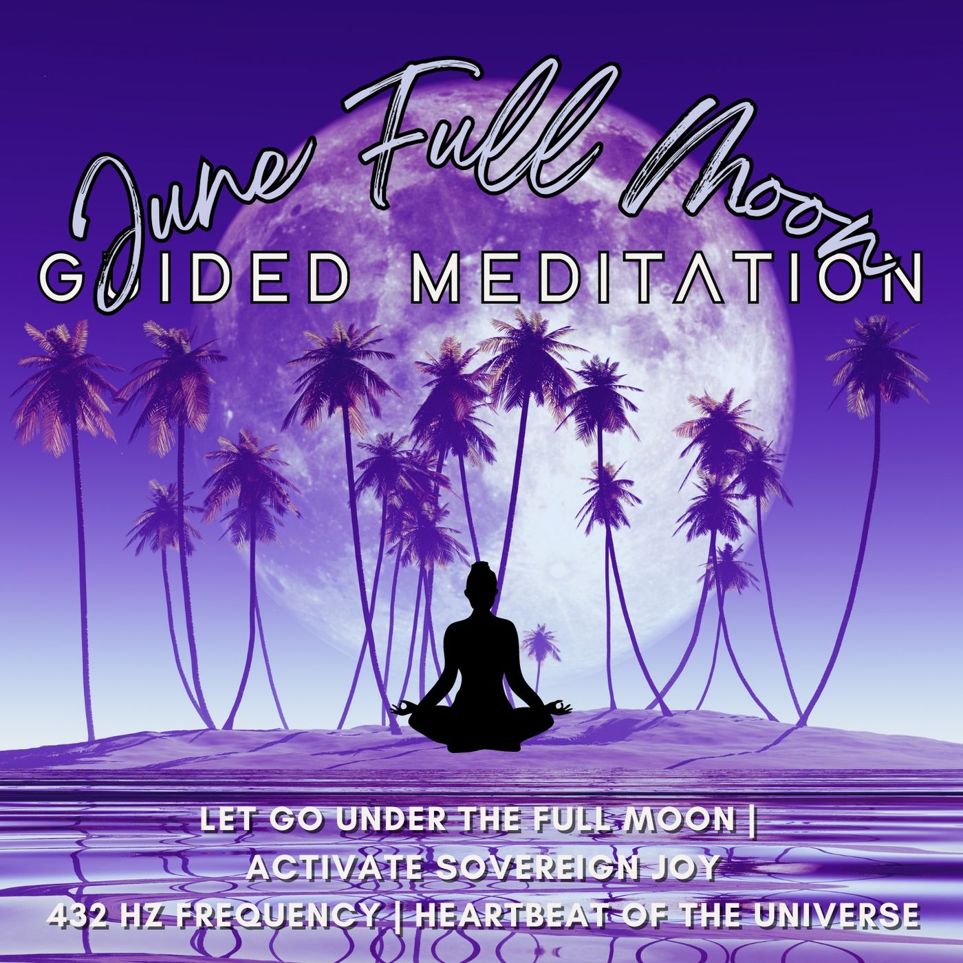 The Psychic Soul Meditations