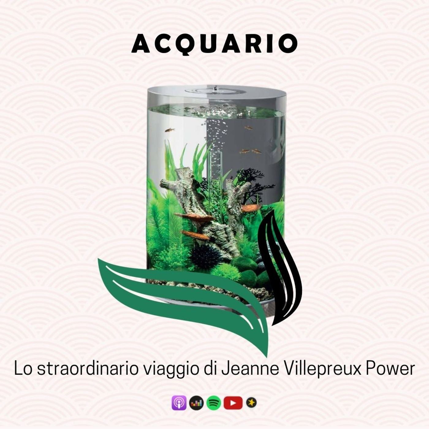 ILLUSTRI SCONOSCIUTI