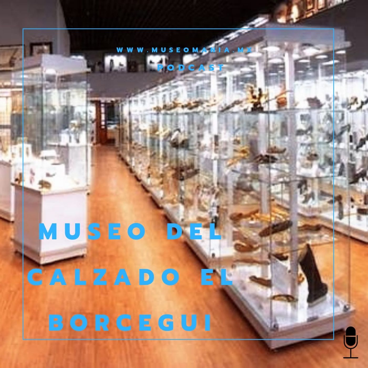 Museo del Calzado El Borcegui