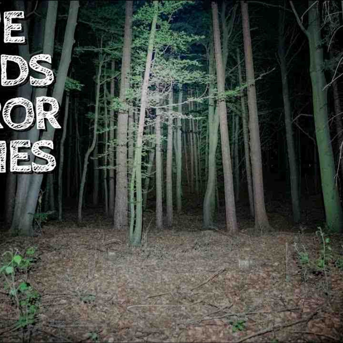 3 Creepy True Woods Horror Stories episode artwork
