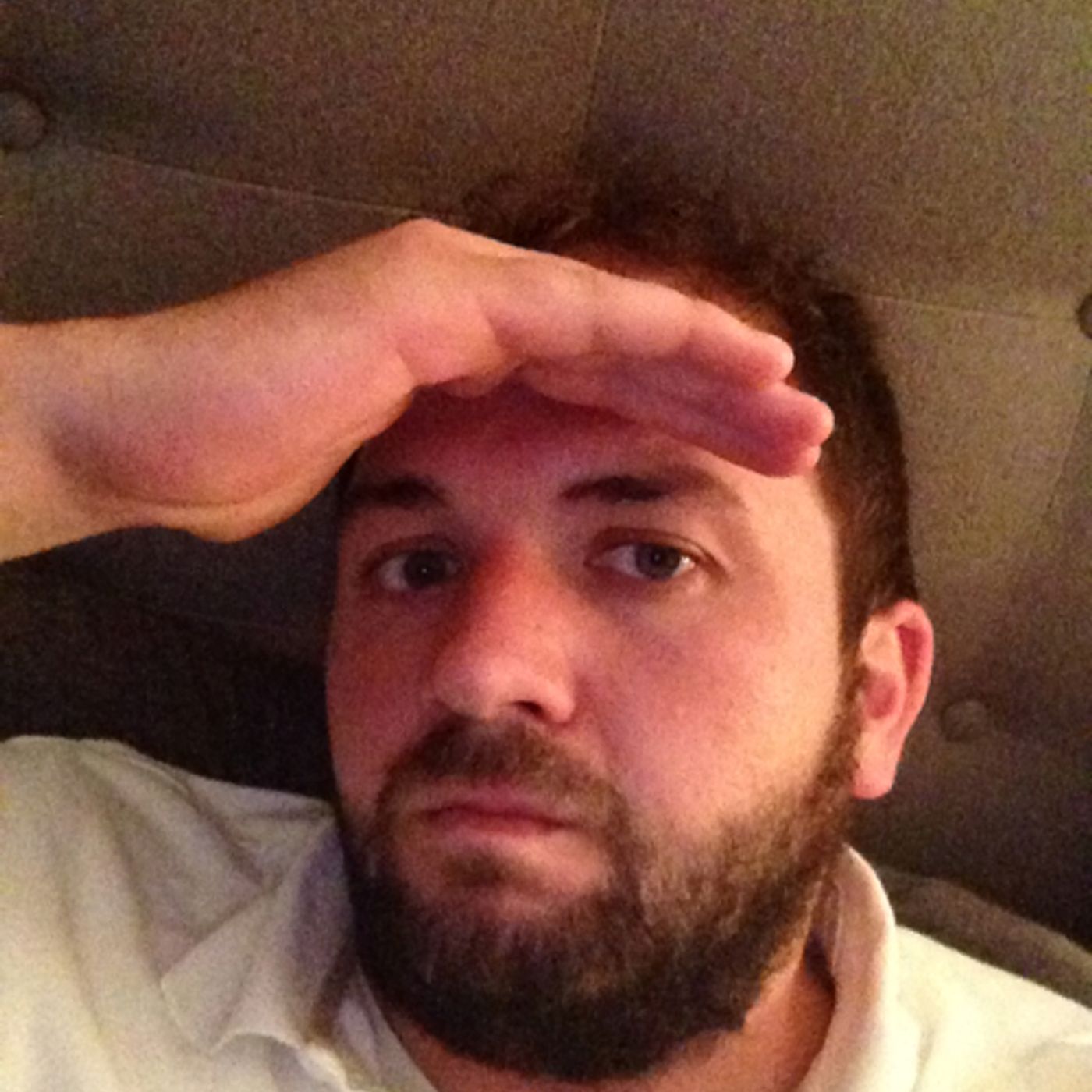 The Steve O Cast cover art