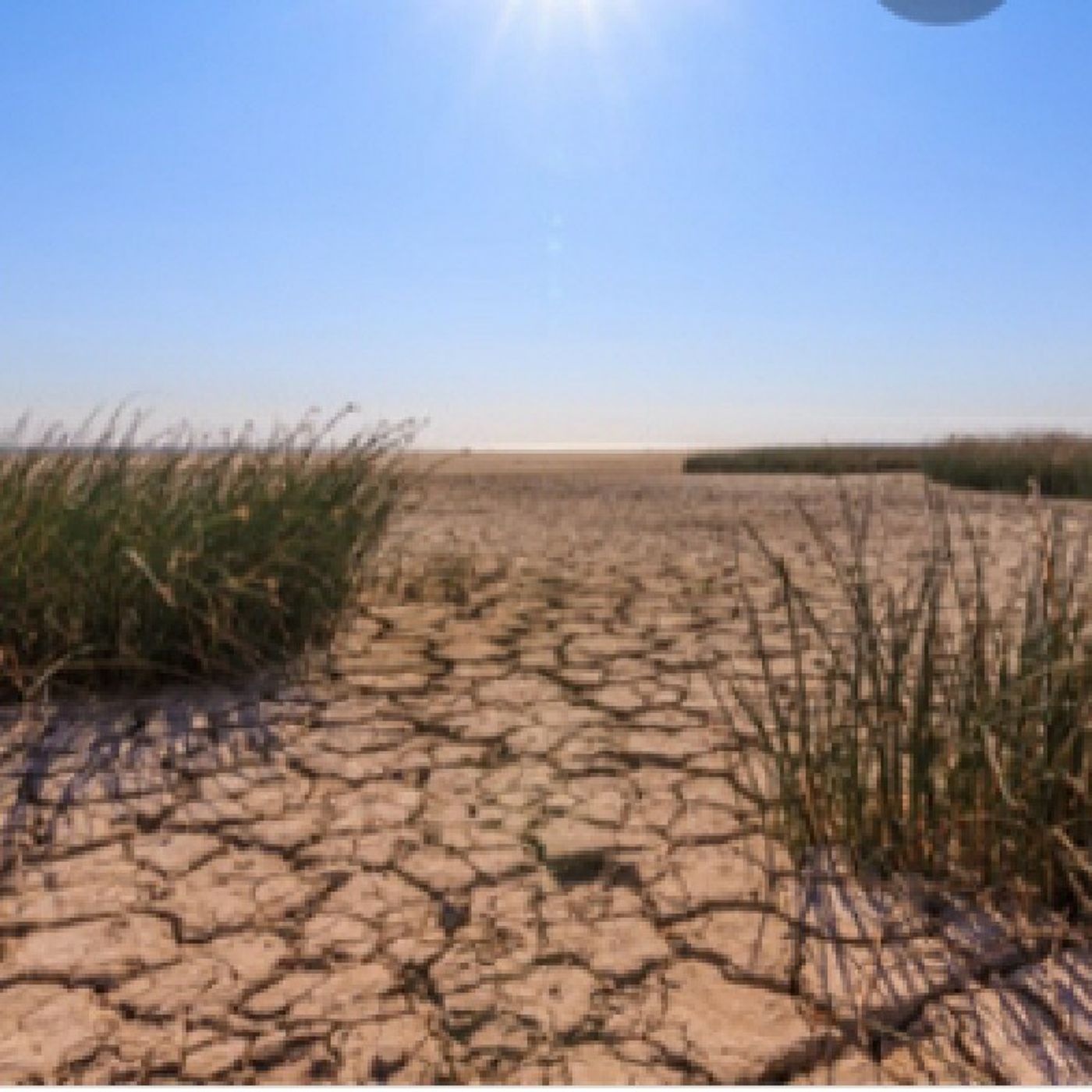 Reflexiones De Restauracion Para Tu Alma