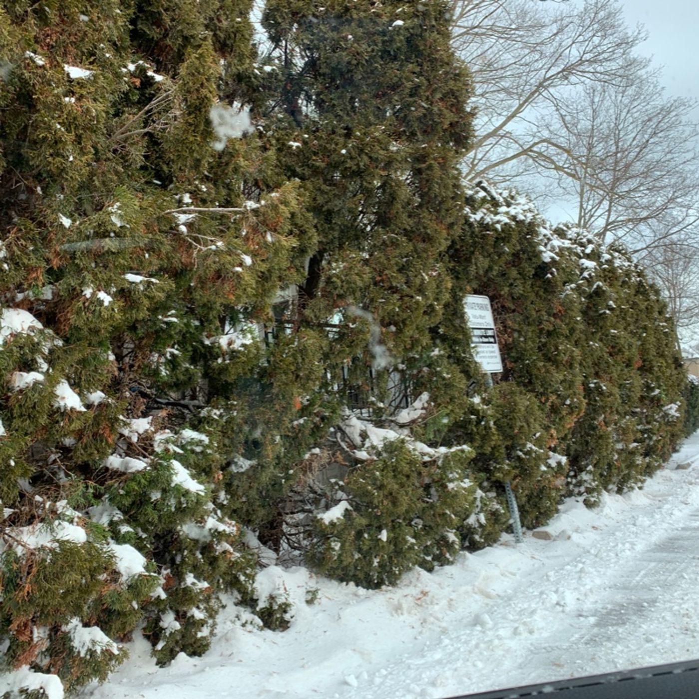 Prayer on the Go! - with Bishop Deb