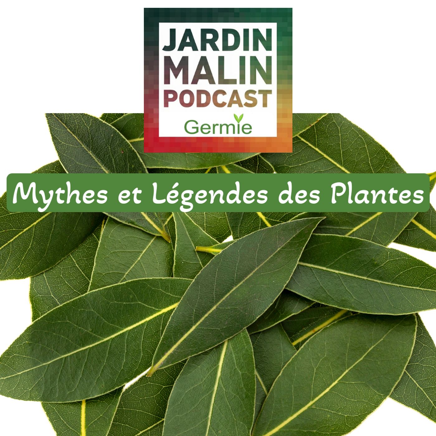 JARDIN MALIN by Germie