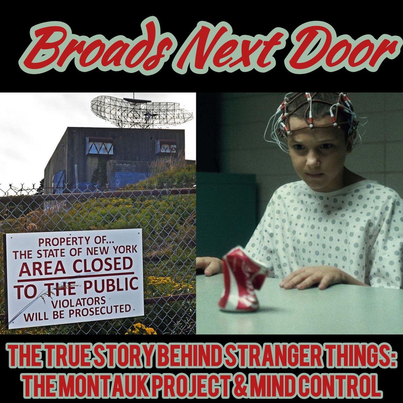 The True Story Behind Stranger Things: The Montauk Project and Mind Control  (with Tessa, Fire_Walk_With_Me_315)
