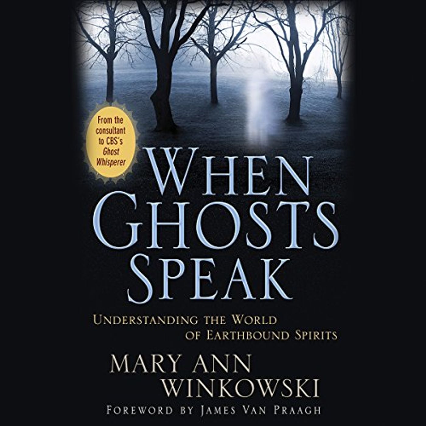When Ghosts Speak Audiobook by Mary Ann Winkowski episode artwork