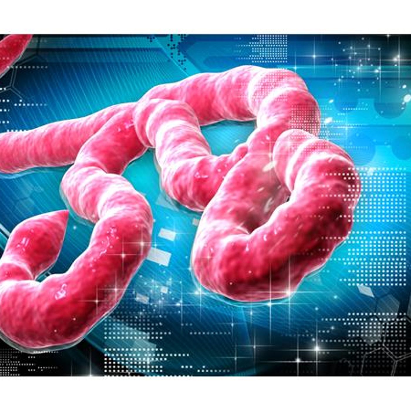 Survival Medicine Hour: Nick Adams of "The American Boomerang, plus Ebola update