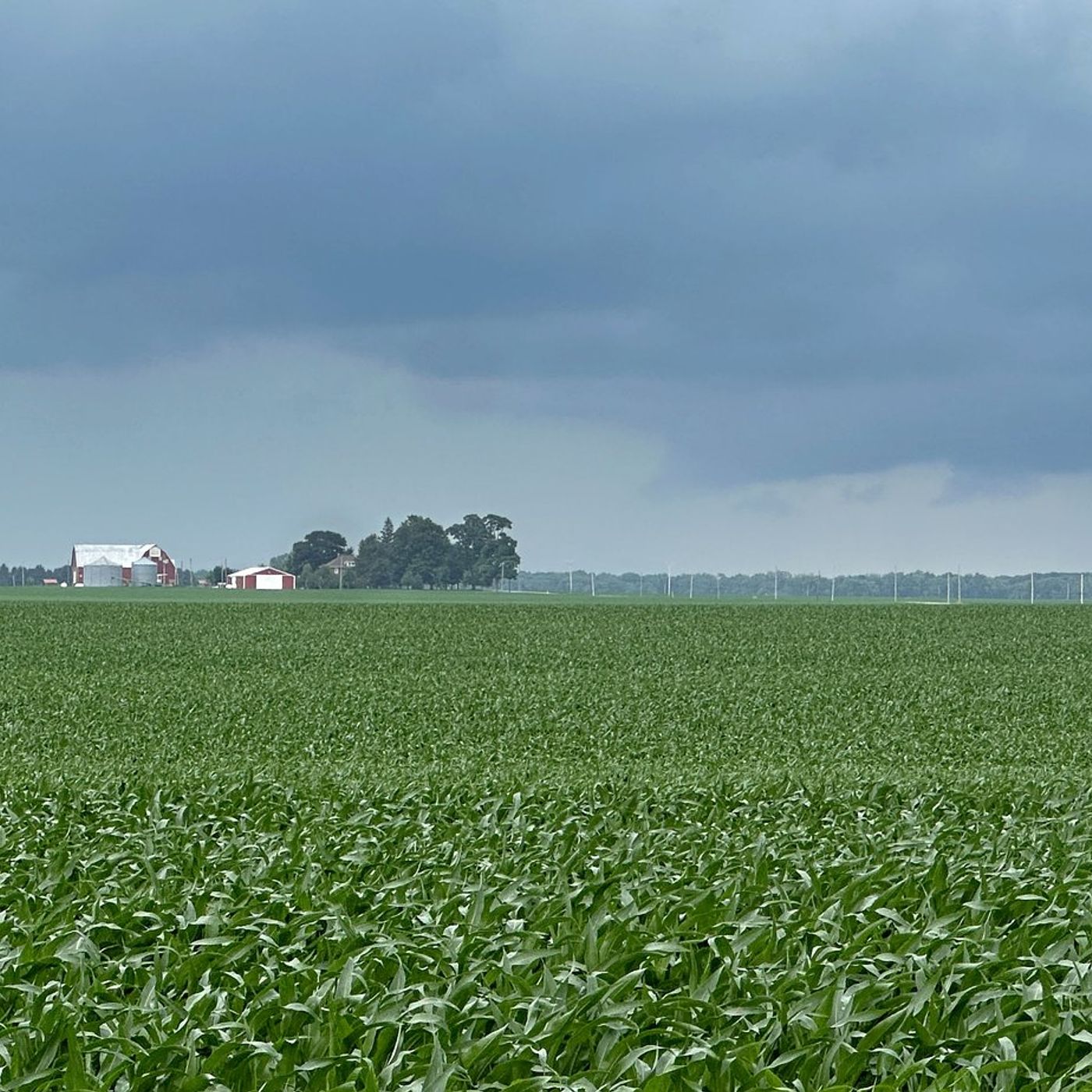 Severe weather forecast midweek for Illinois Valley episode artwork