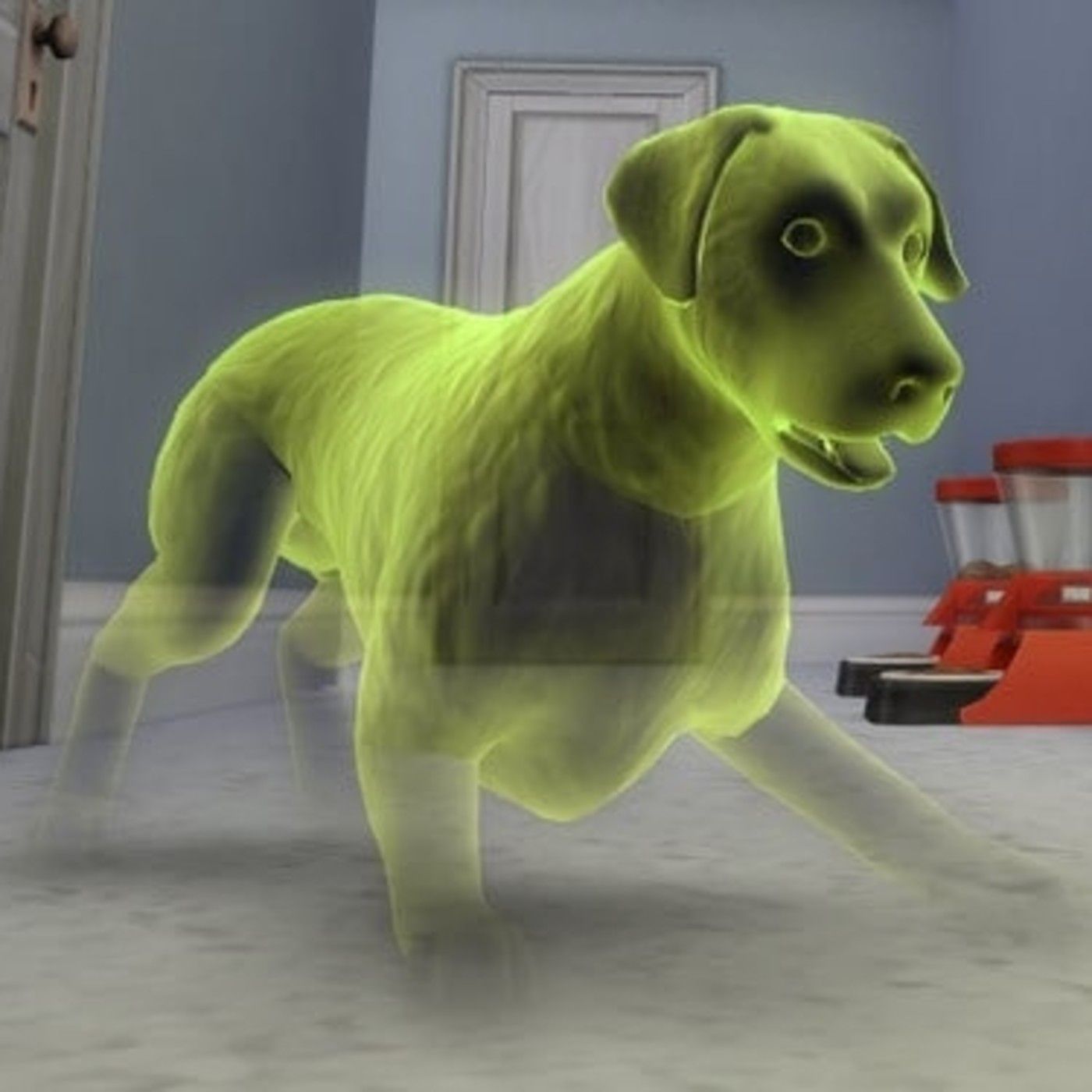 Al filo de los real nº.217: Fantasmas animales, muñecas malditas, brujería, las máquinas anatómicas de Nápoles episode artwork