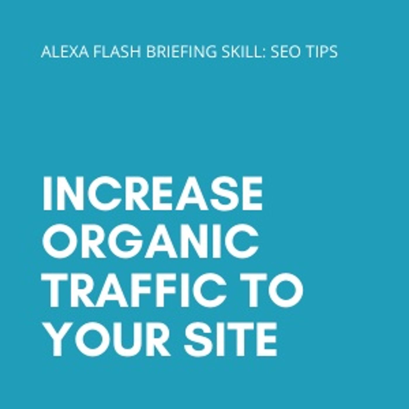 Daily SEO Tips
