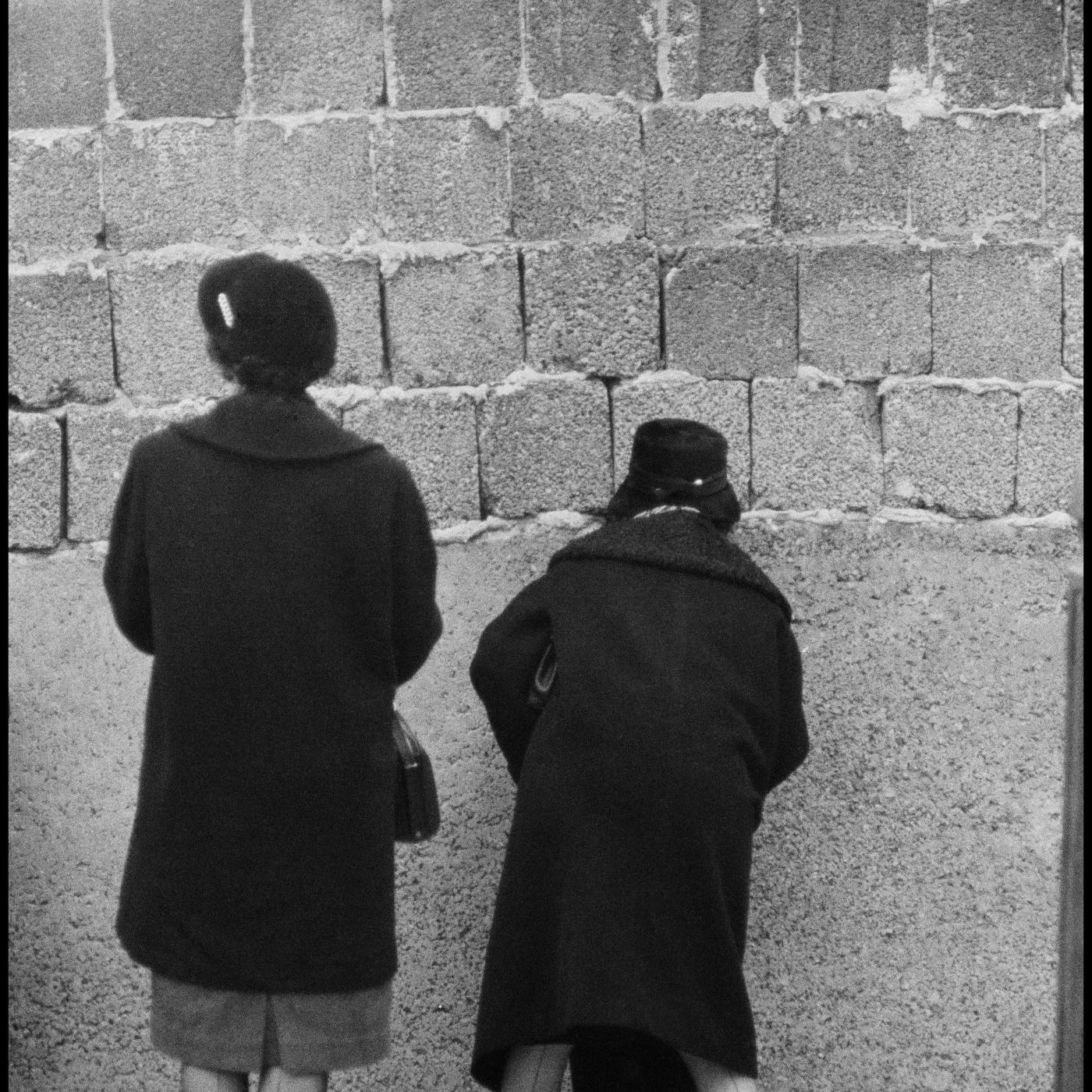 Back to Peace? - Audioguide [ENG]