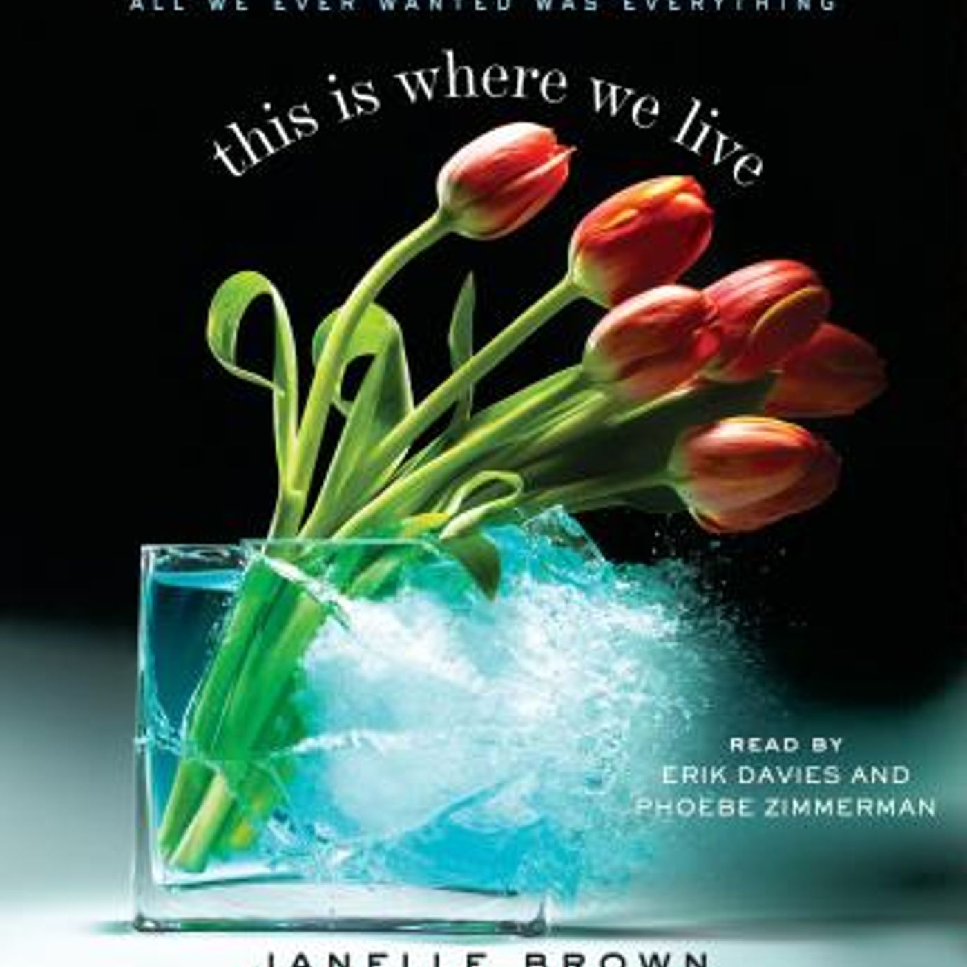 Get Top Full Audiobooks in Fiction, Contemporary Women