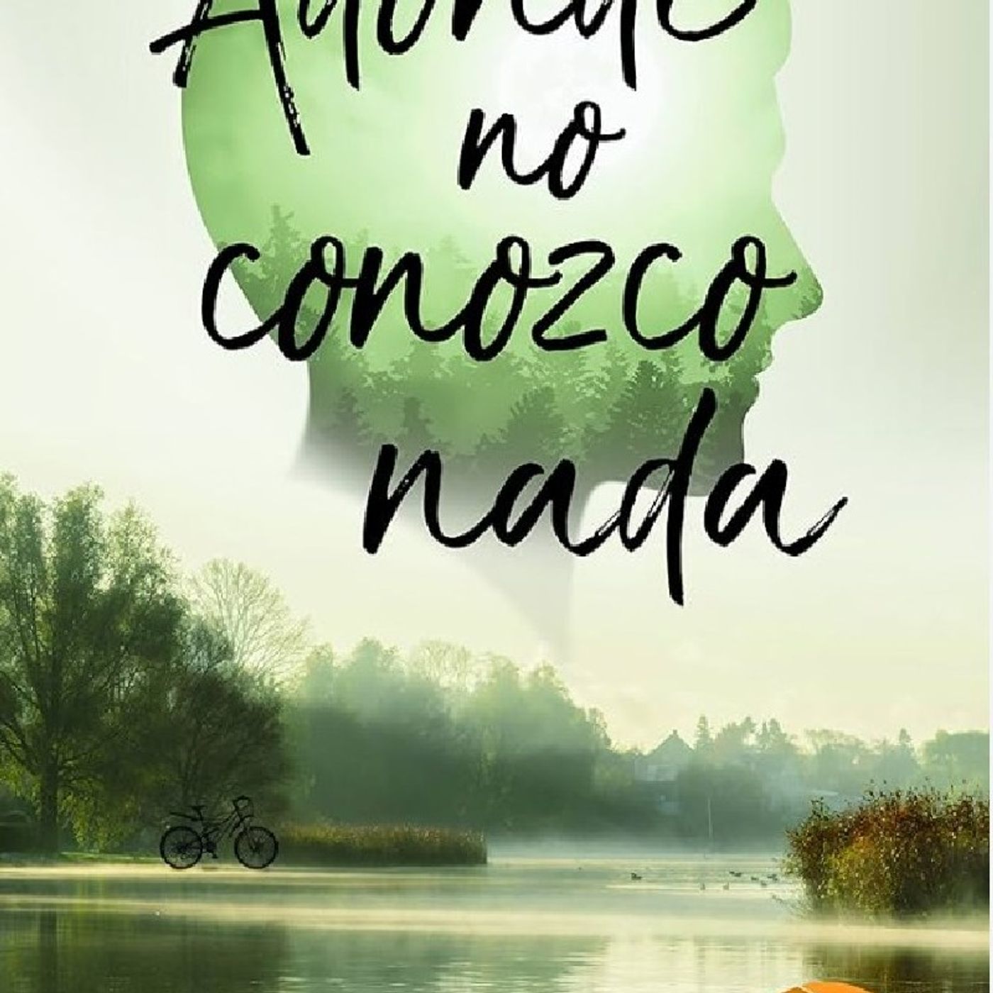 A dónde no conozco nada episode artwork