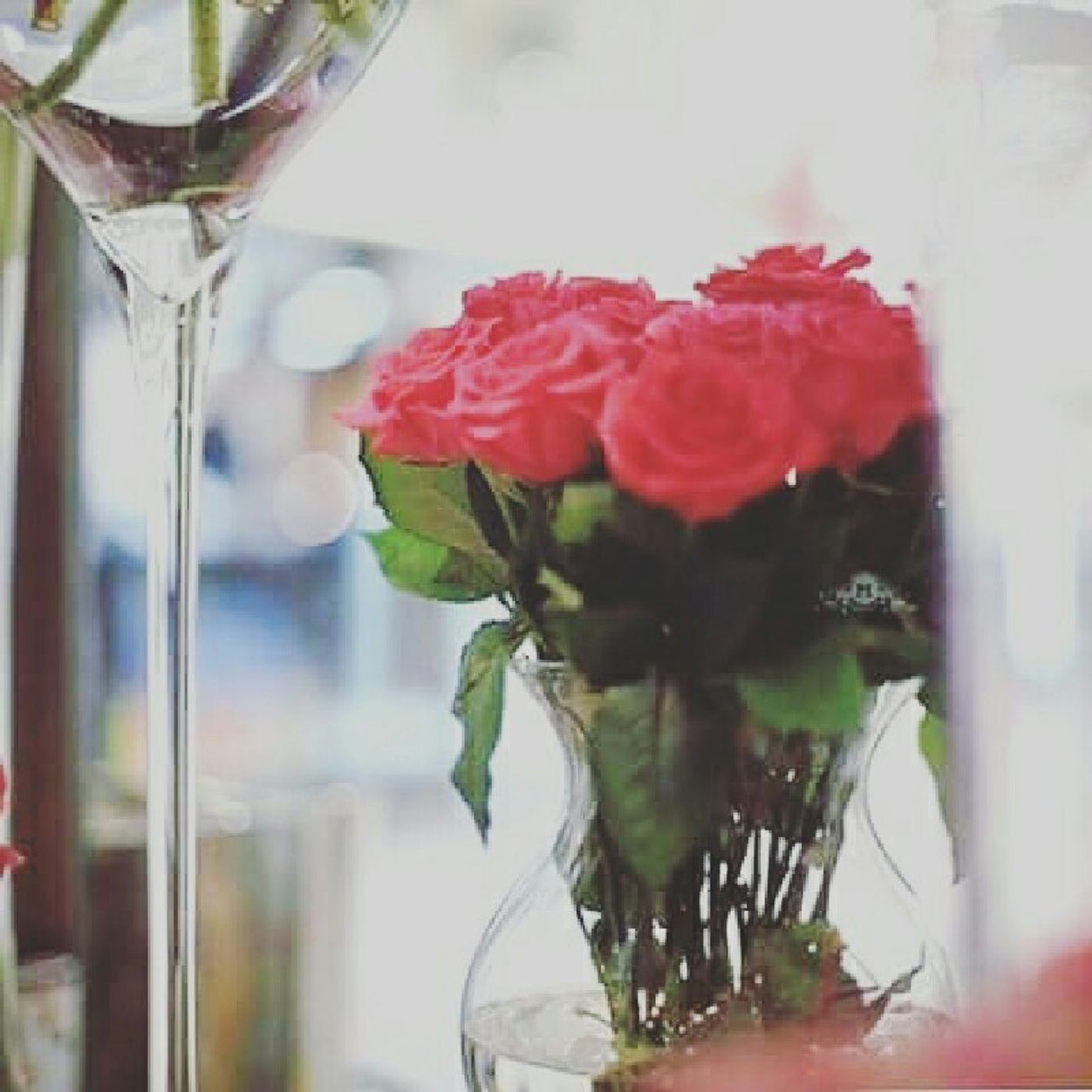 الصدقة 💗🌹 episode artwork