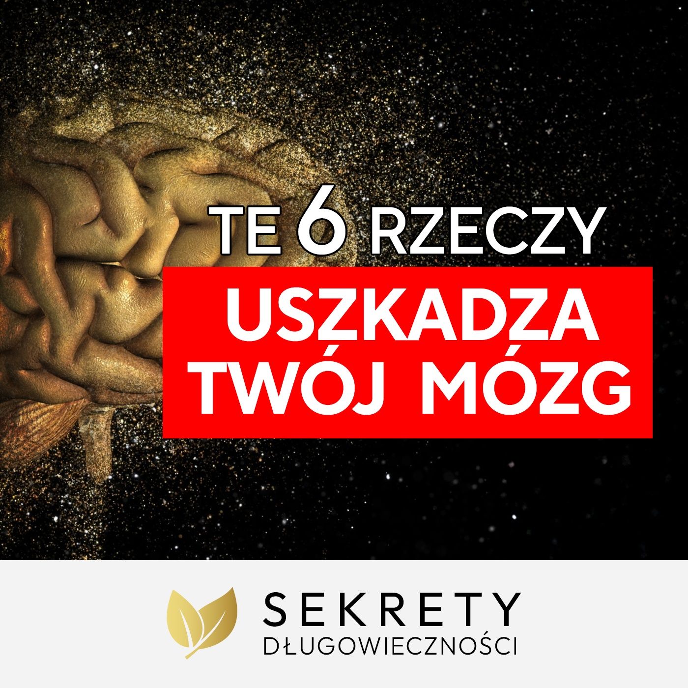 Jak zmniejszyć ryzyko demencji i Alzheimera Dr Tadeusz Oleszczuk [Sekrety Długowieczności]