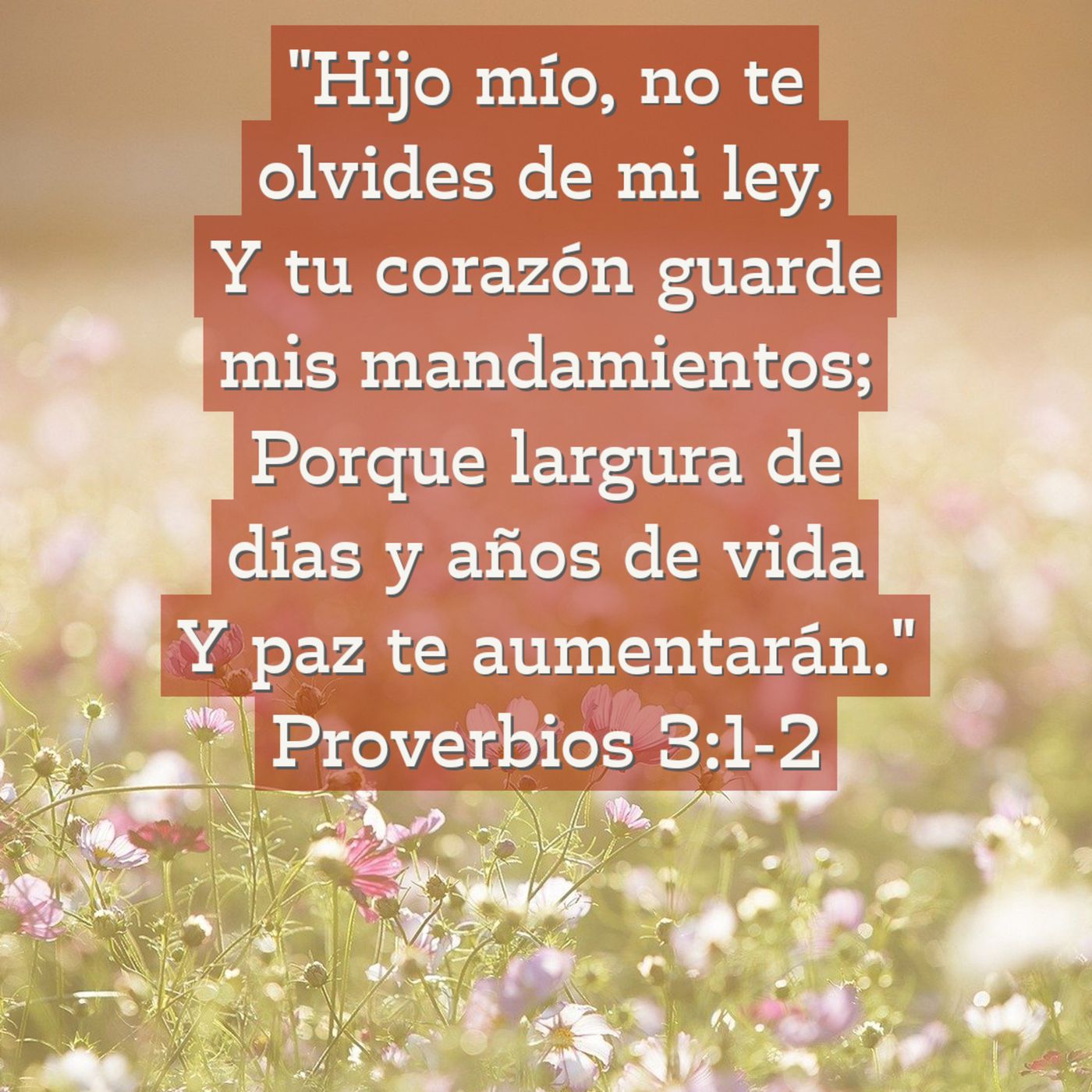 Joyas de Sabiduría (Libro de Proverbios)