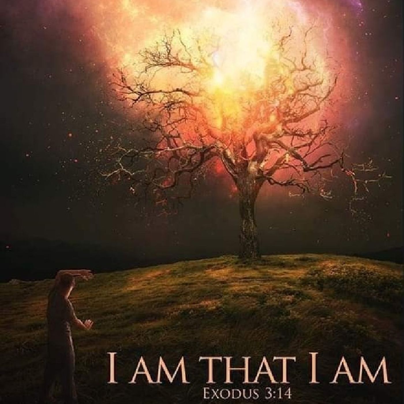 Grace Watcher Report - Walking In The Power Of The Word Of God episode artwork