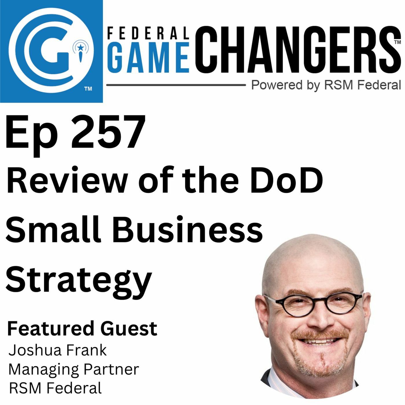 Ep 257: Review of the DoD Small Business Strategy Report episode artwork