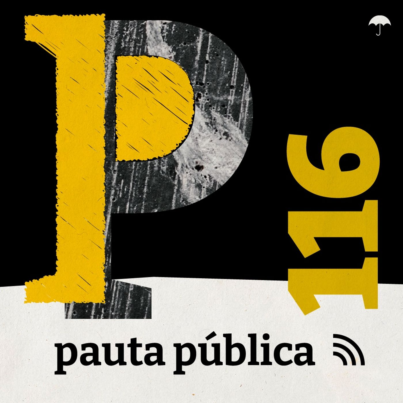 Elon Musk e a extrema direita nas redes - com Estela Aranha