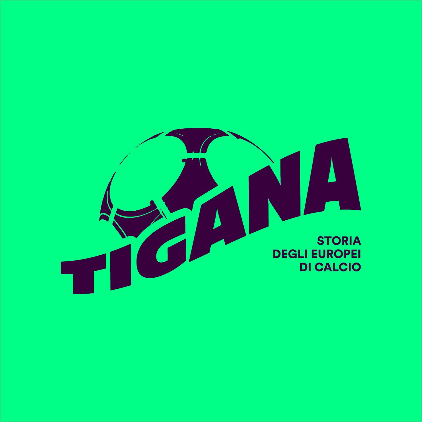 Storia degli europei di calcio #1