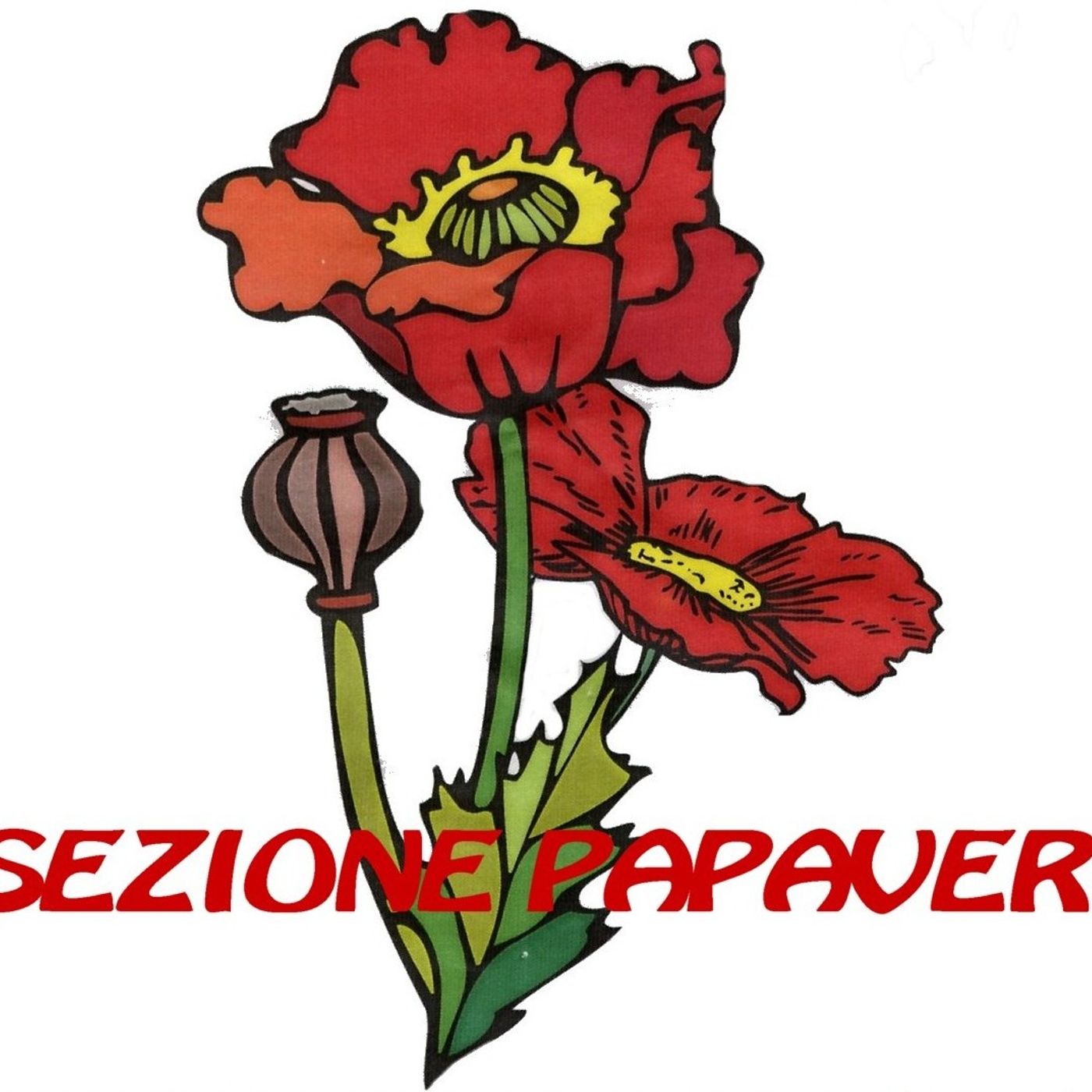 Le Voci dei Papaveri