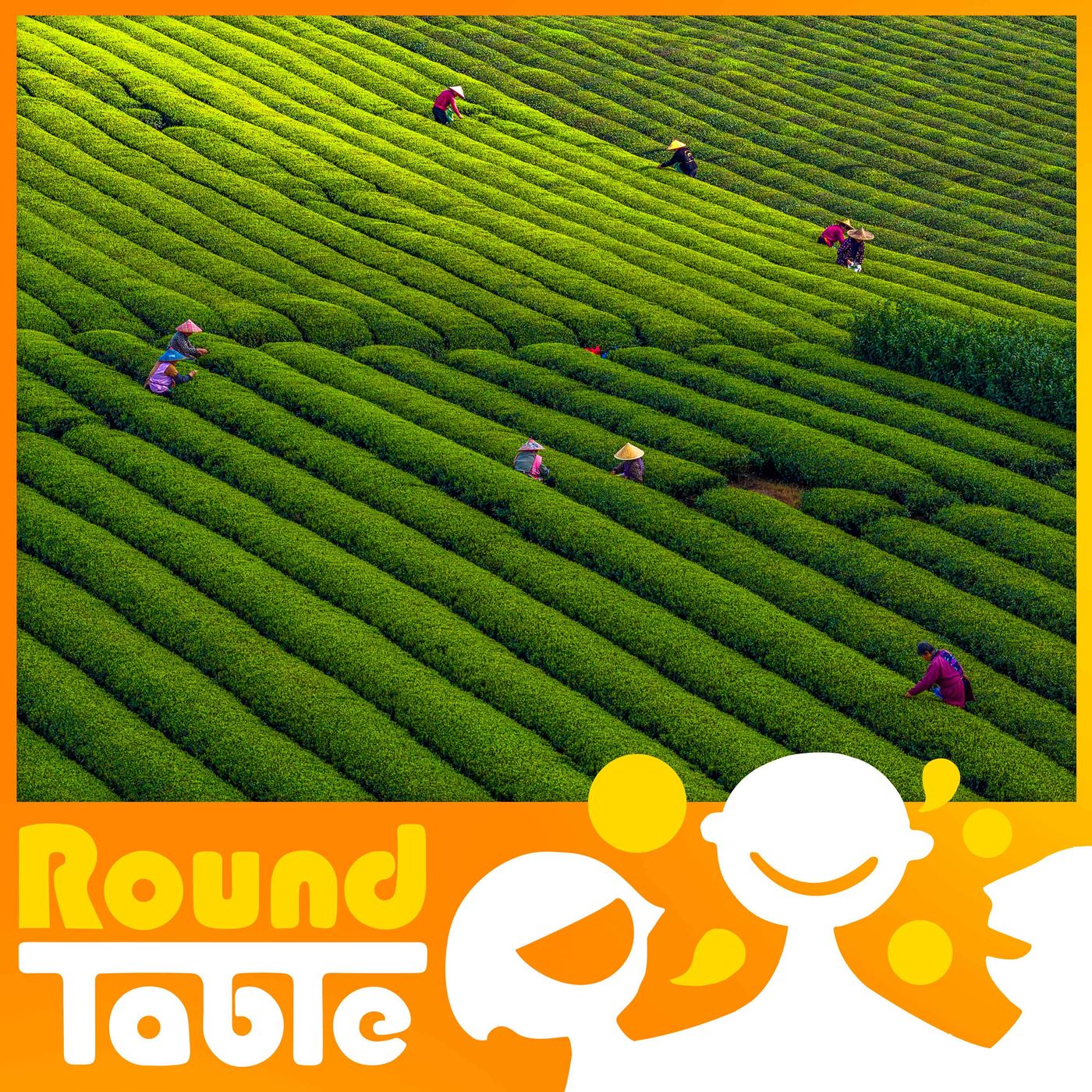 Steep your next adventure in tea!
