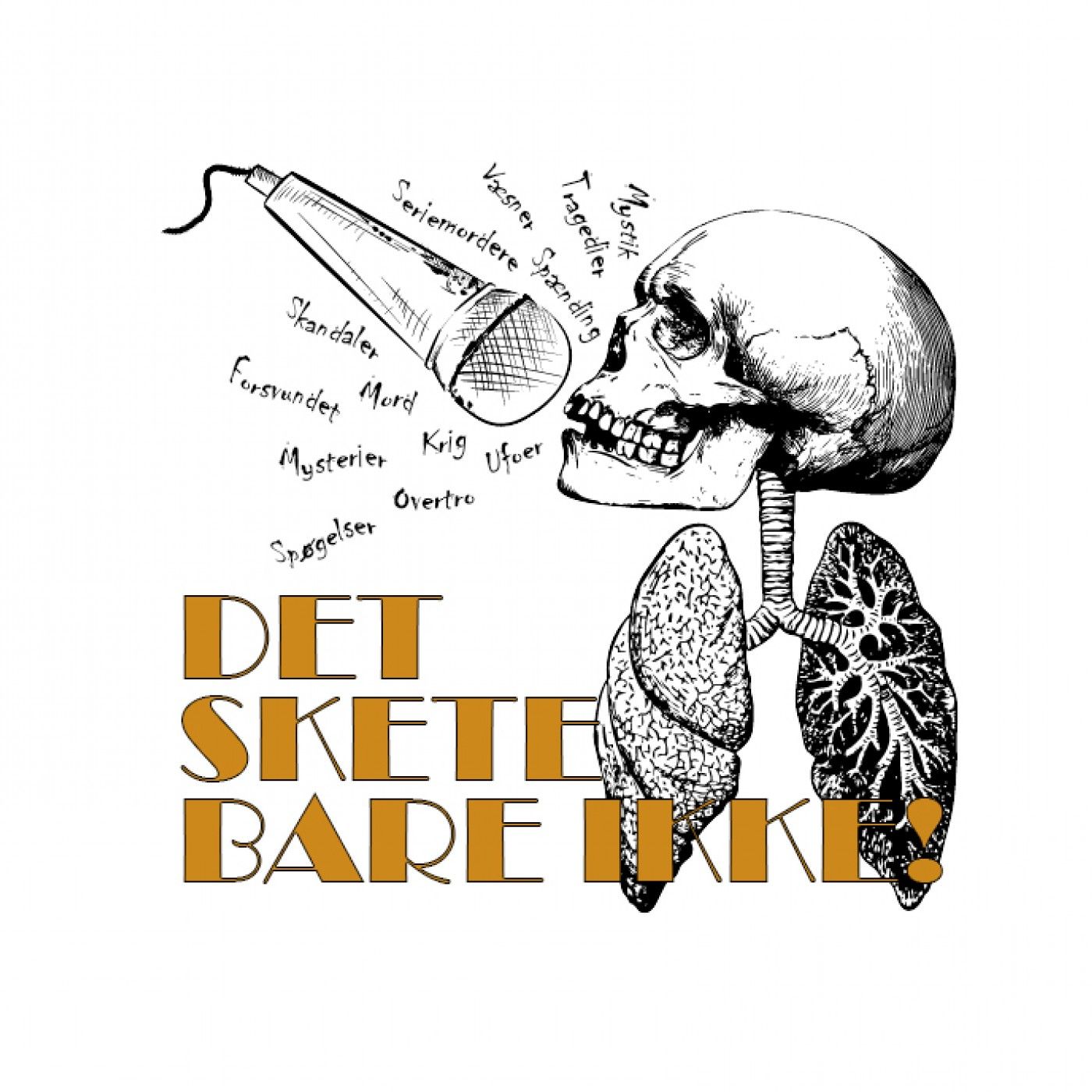 Det Skete Bare Ikke af Dsbi Podcast