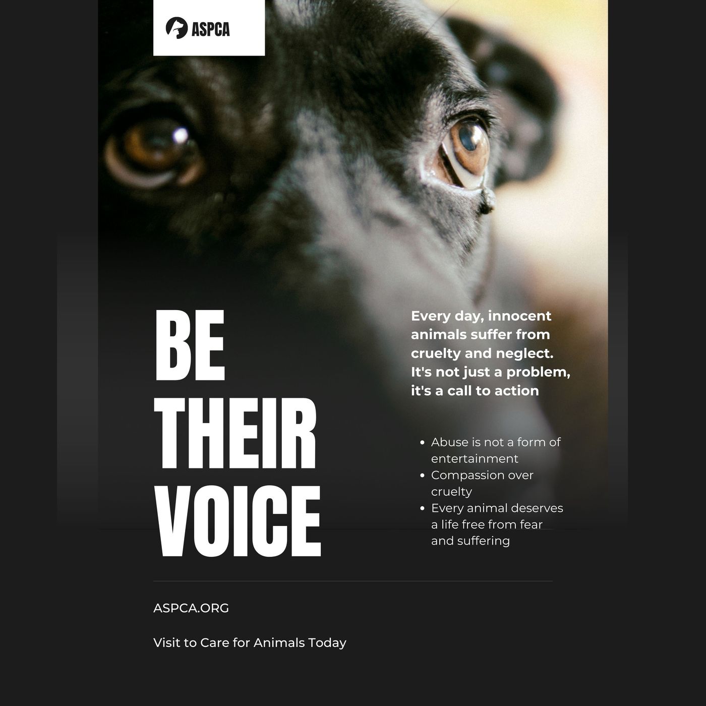 Podcasthon_ ASPCA Highlight – Animal Welfare_ Be Their Voice