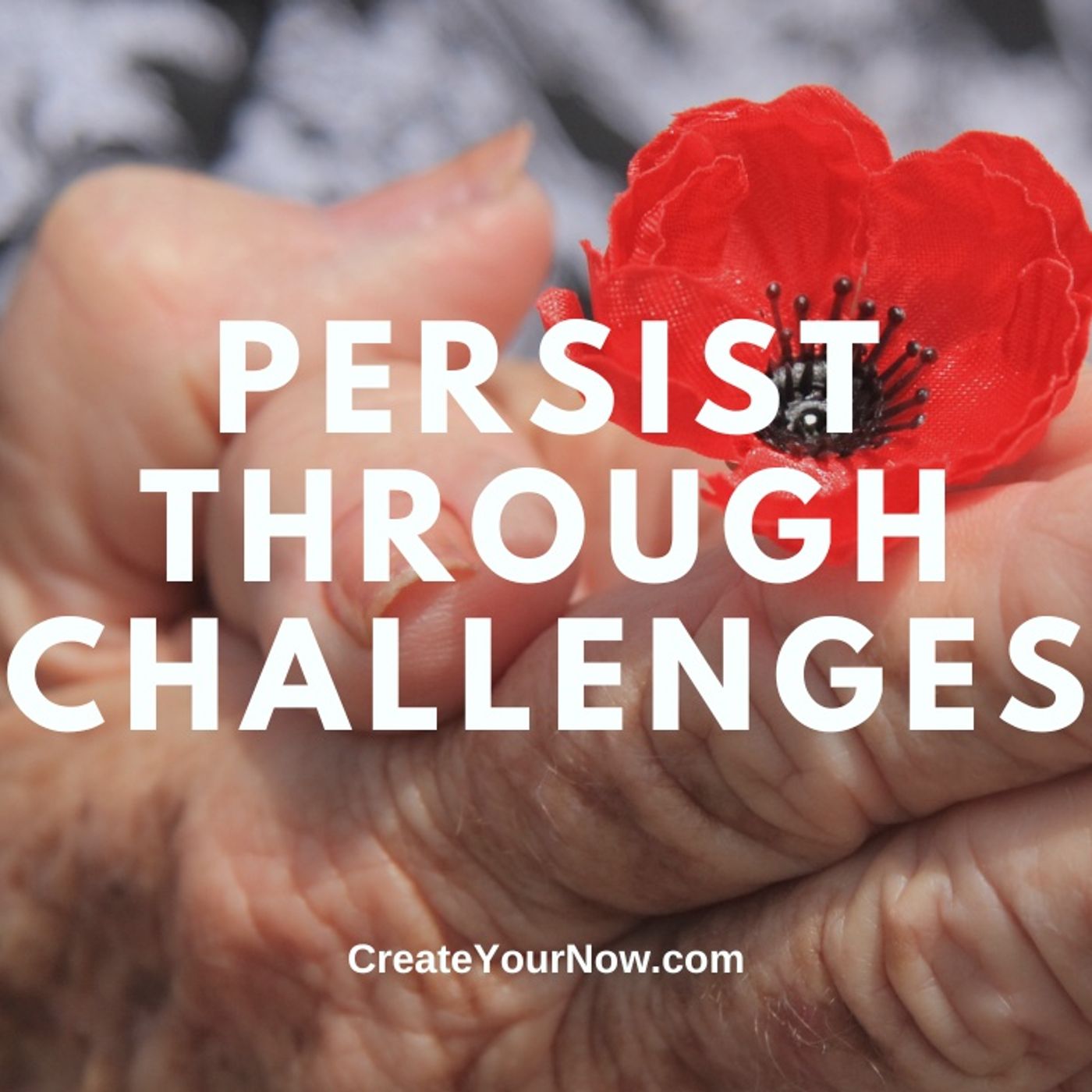 3586 Persist through Challenges