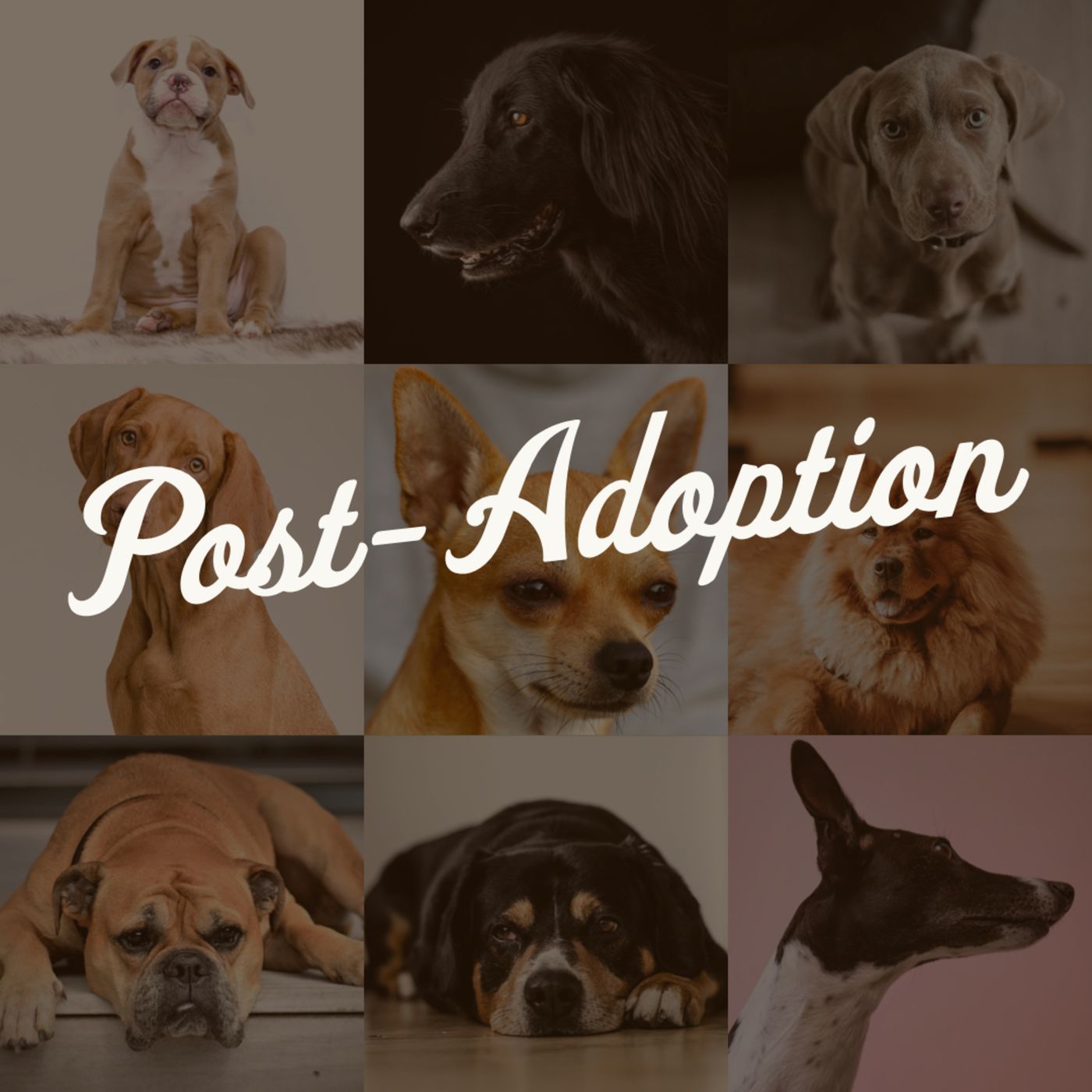 Post Adoption