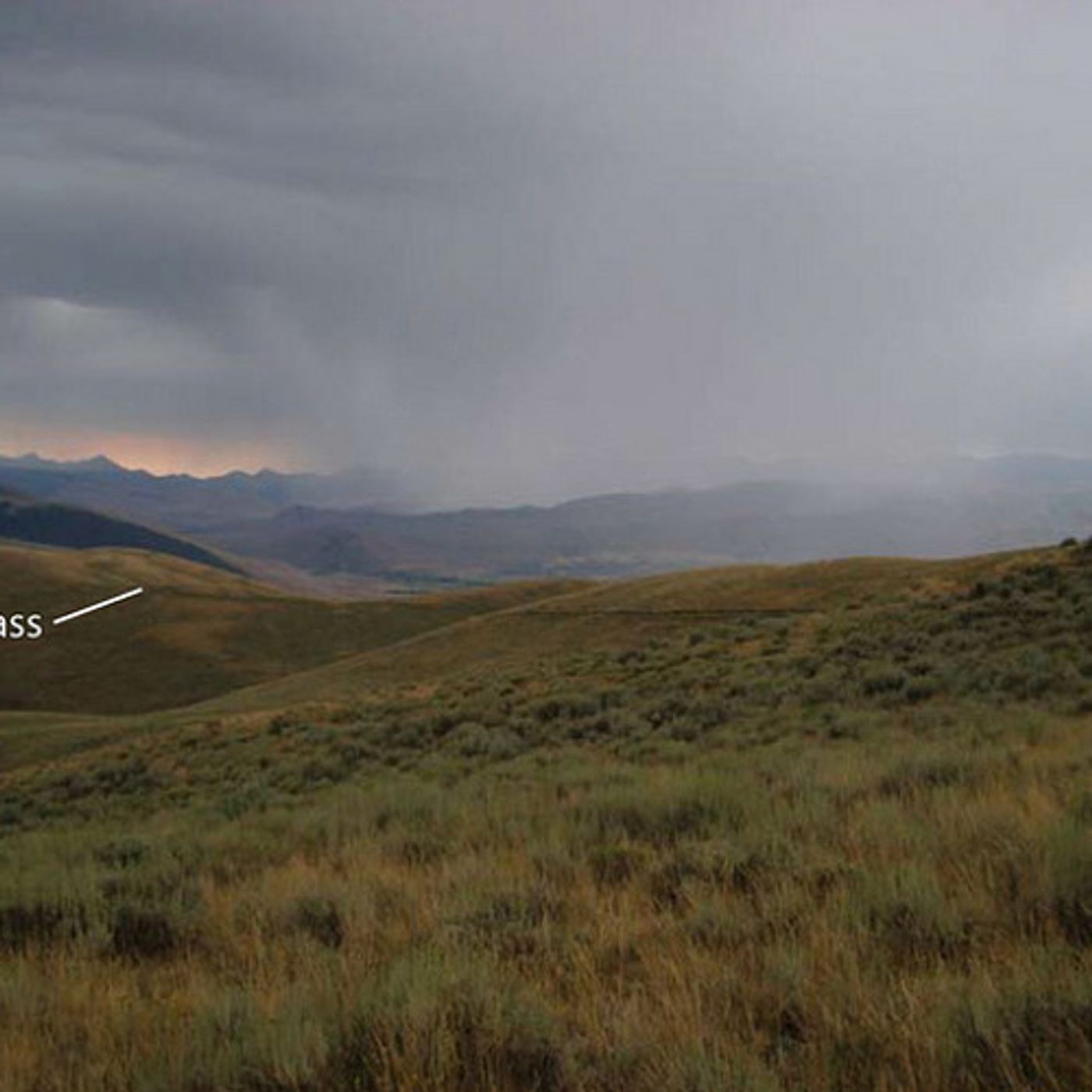 Firm Seeks Permits To Mine Idaho's Rare Earth Minerals episode artwork