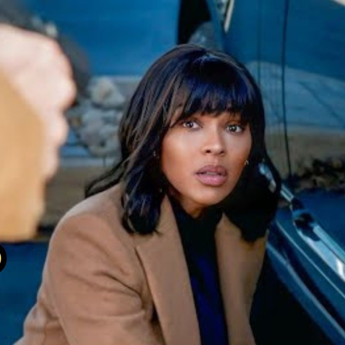 Her partner planned her death by hiring an assassin but she was more cunning episode artwork