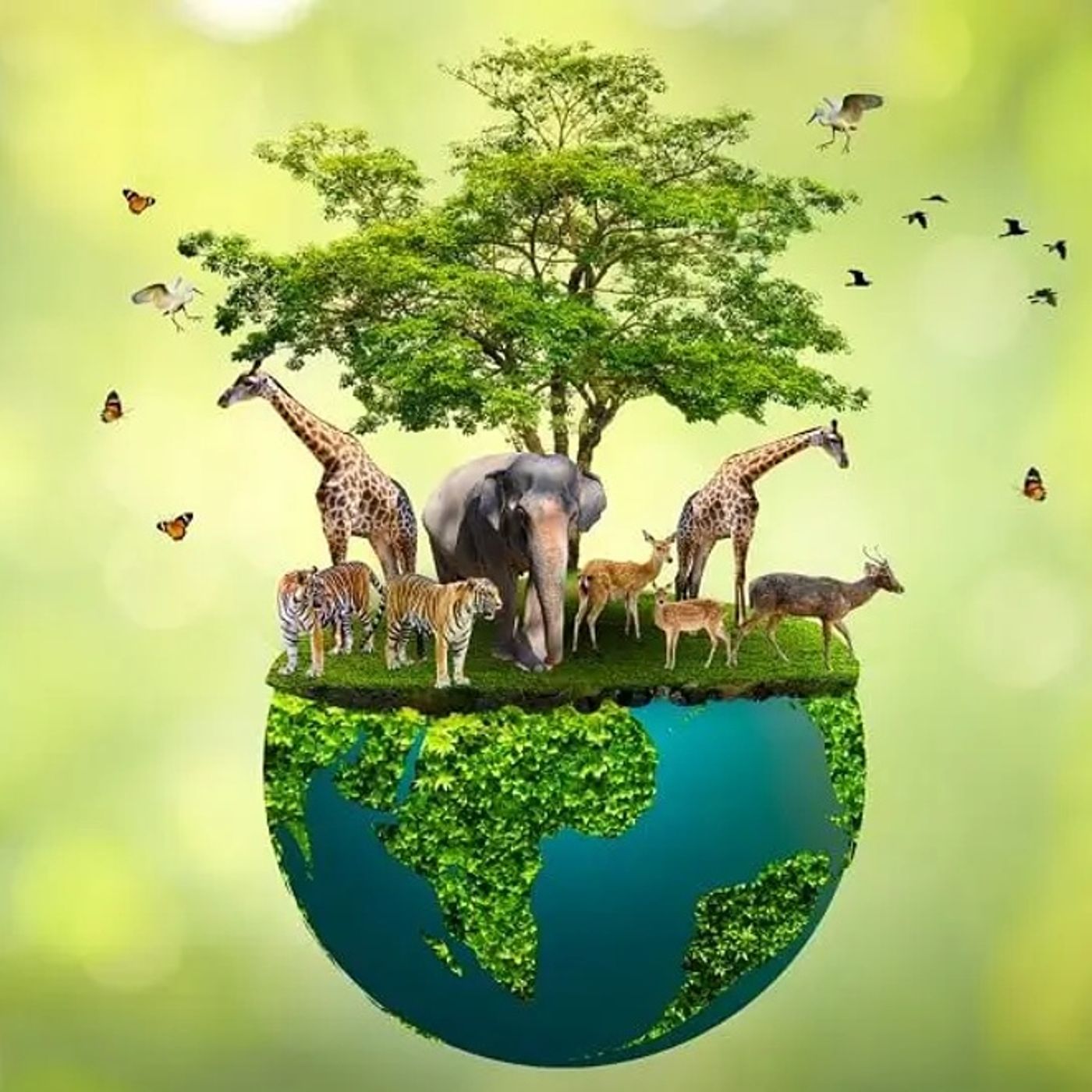 La biodiversidad y sus importancias podcast artwork