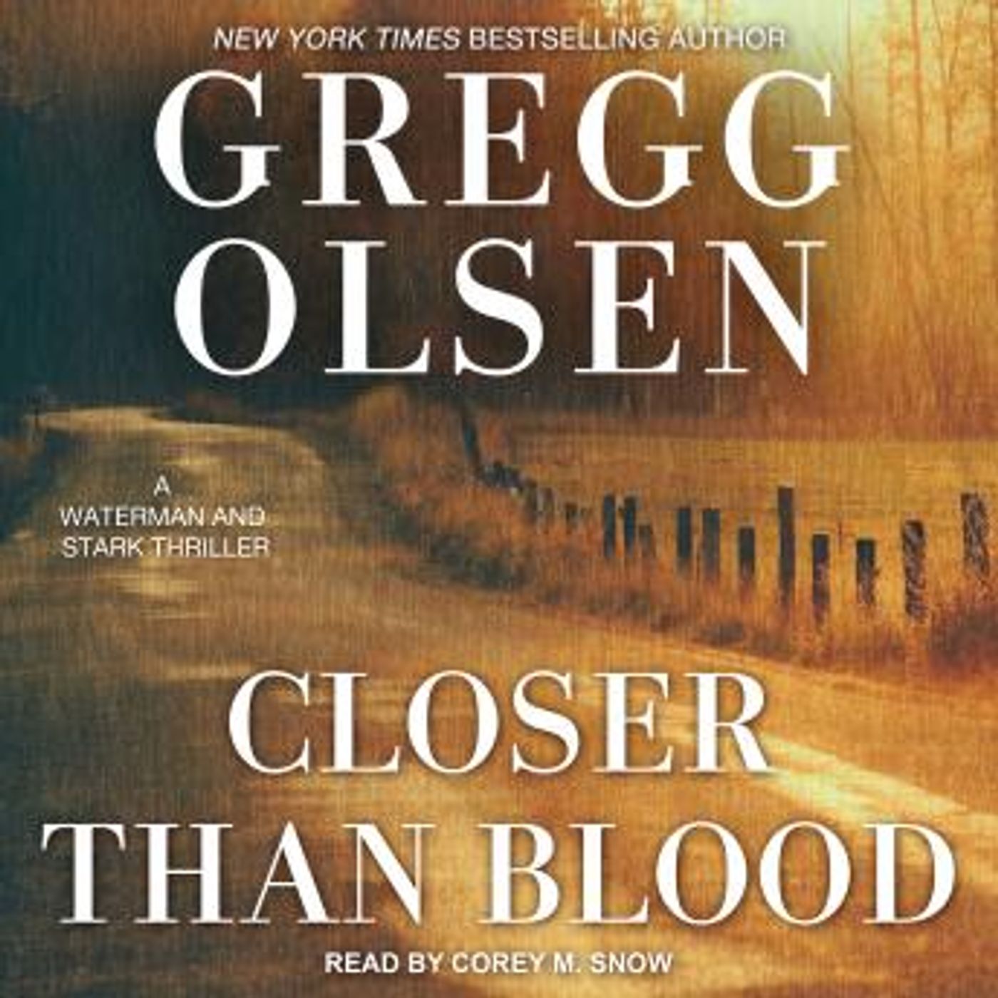 Best Audio Stories in Mystery, Thriller & Horror, Police & Detective