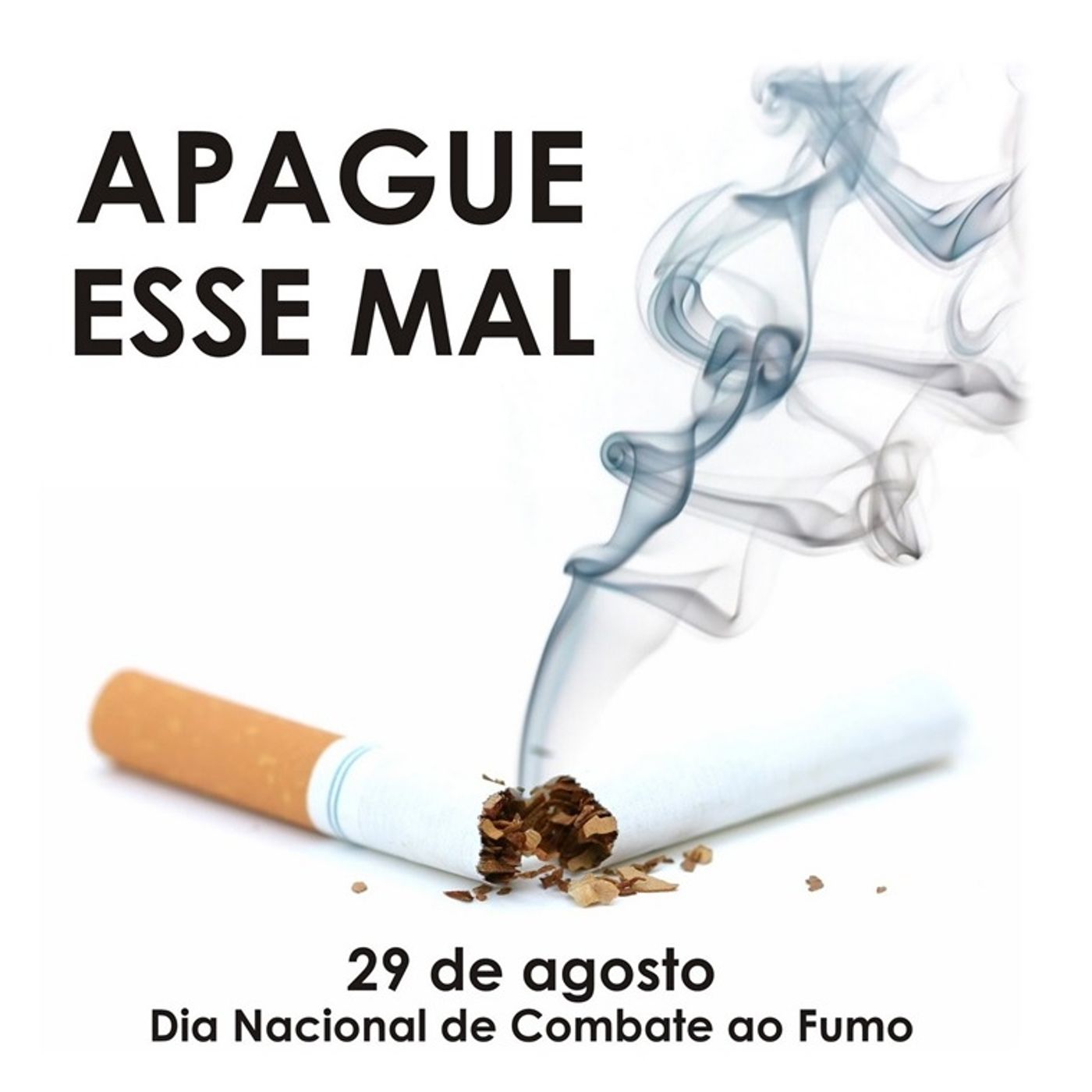 The Sandra Regina Lopes Show