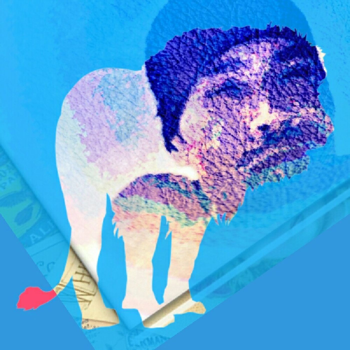 Enough episode artwork
