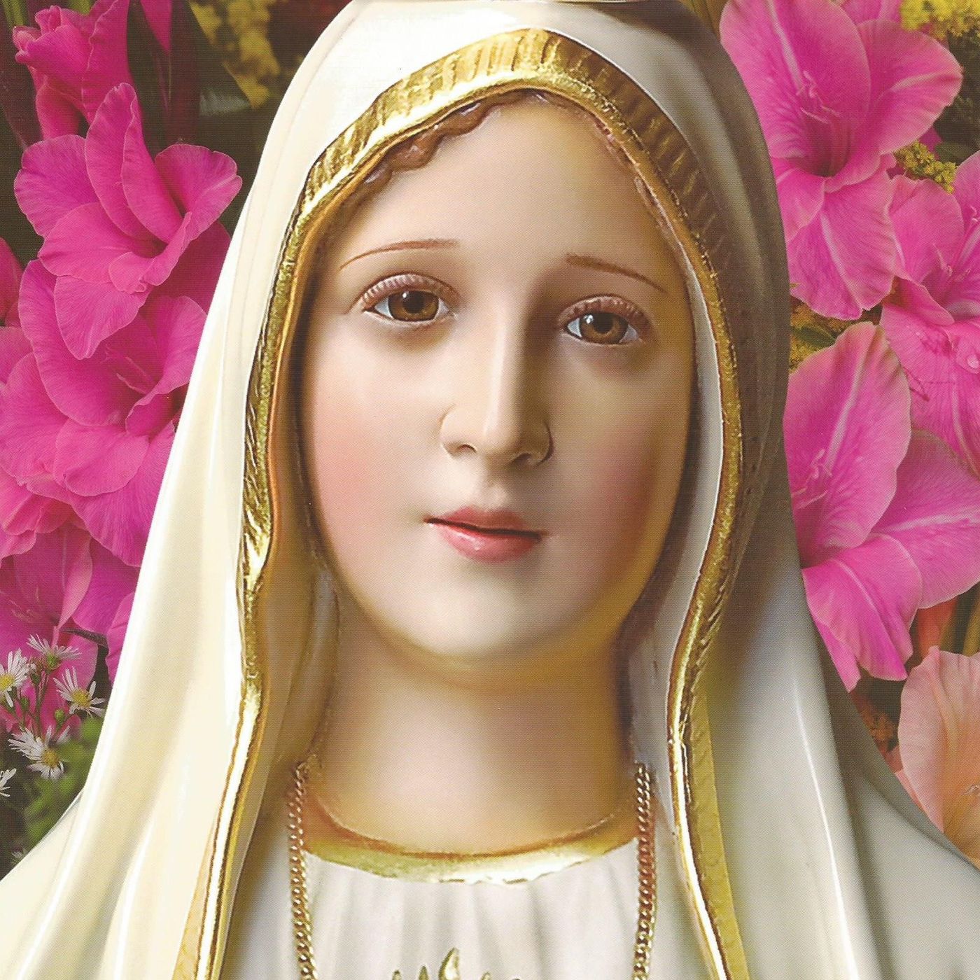 tracce di Fabrizio Zaniol